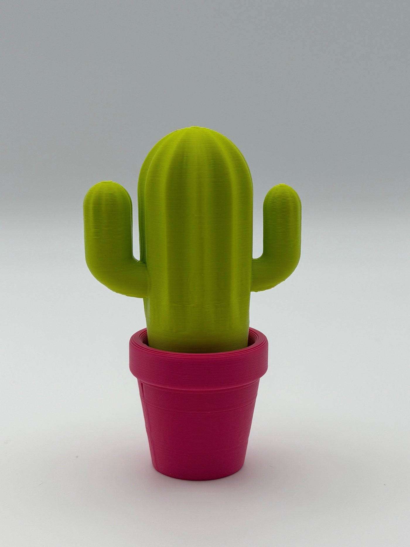 Cactus in a pink pot fidget clicker