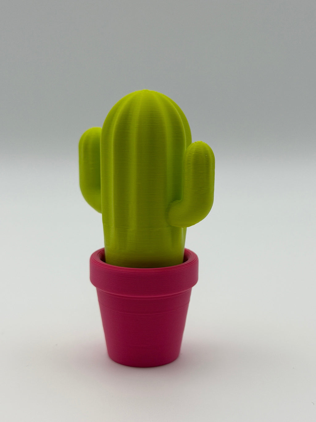Cactus in a pink pot fidget clicker
