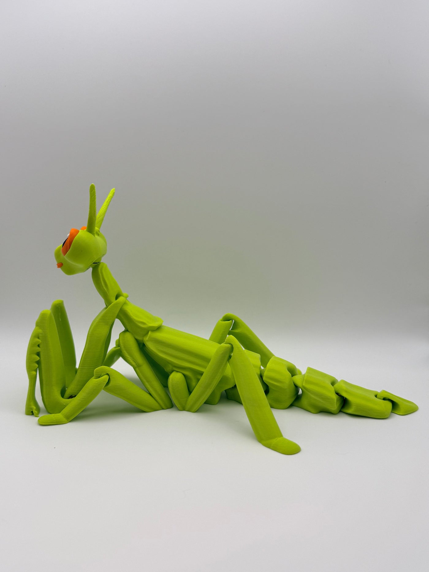 Articulated Praying Mantis Fidget Toy