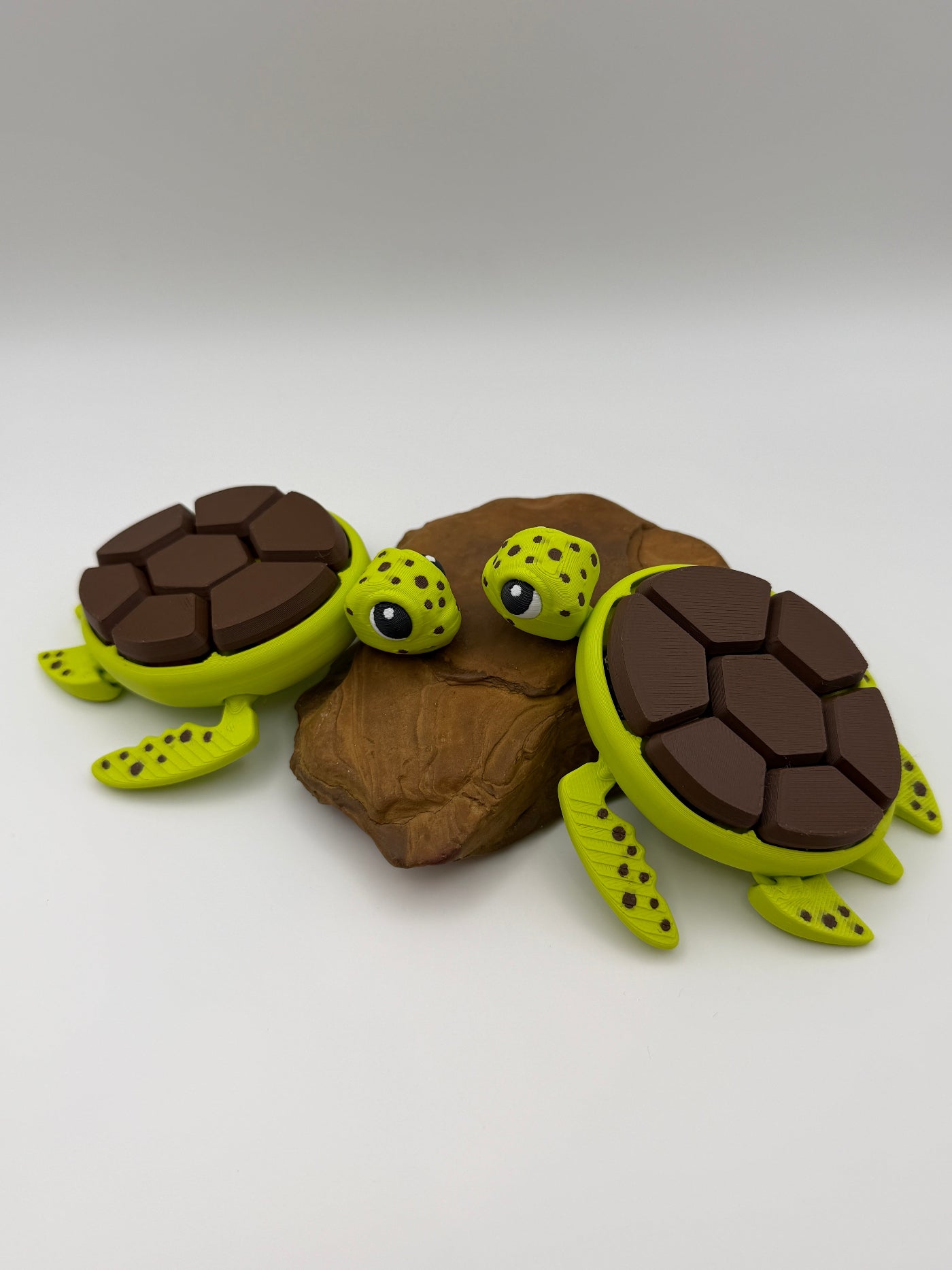 Two green and brown shelled fidget clicker turtles on a rock base. 