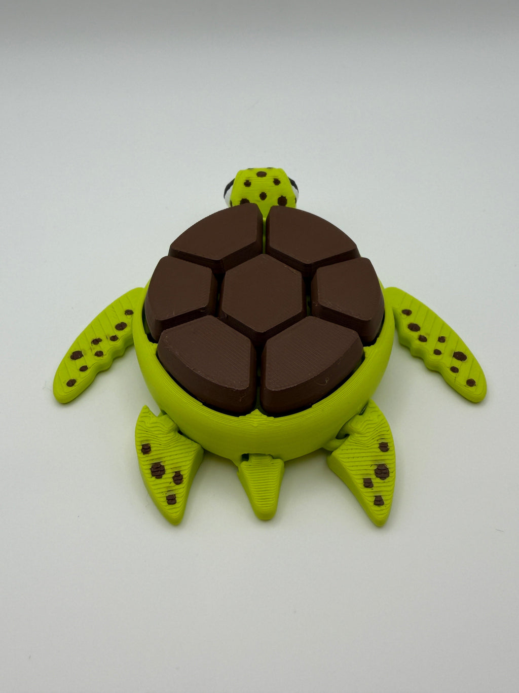 A green and brown shelled fidget clicker turtle.