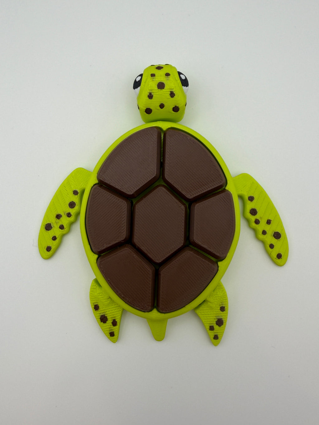 A green and brown shelled fidget clicker turtle.