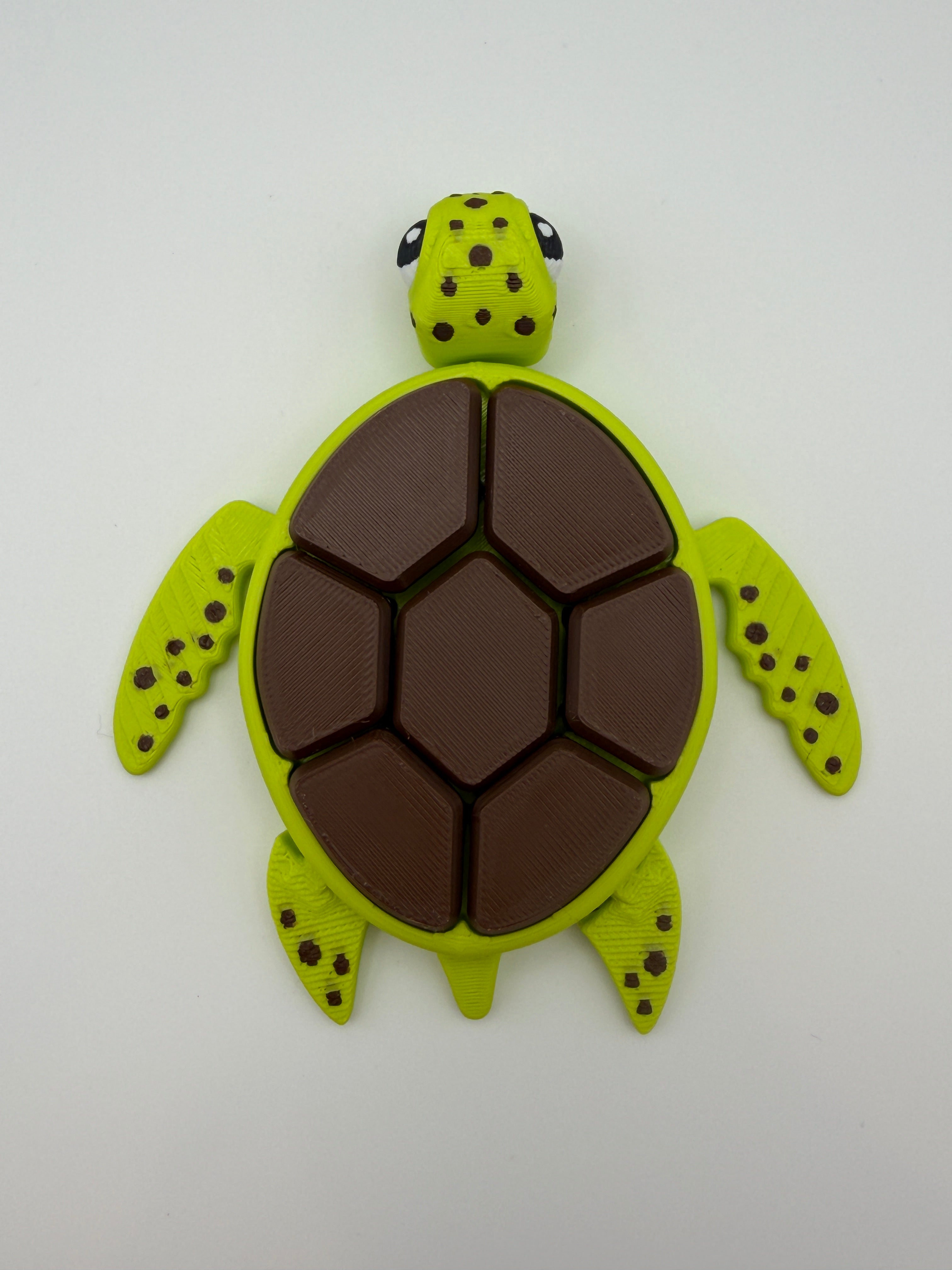 A green and brown shelled fidget clicker turtle.