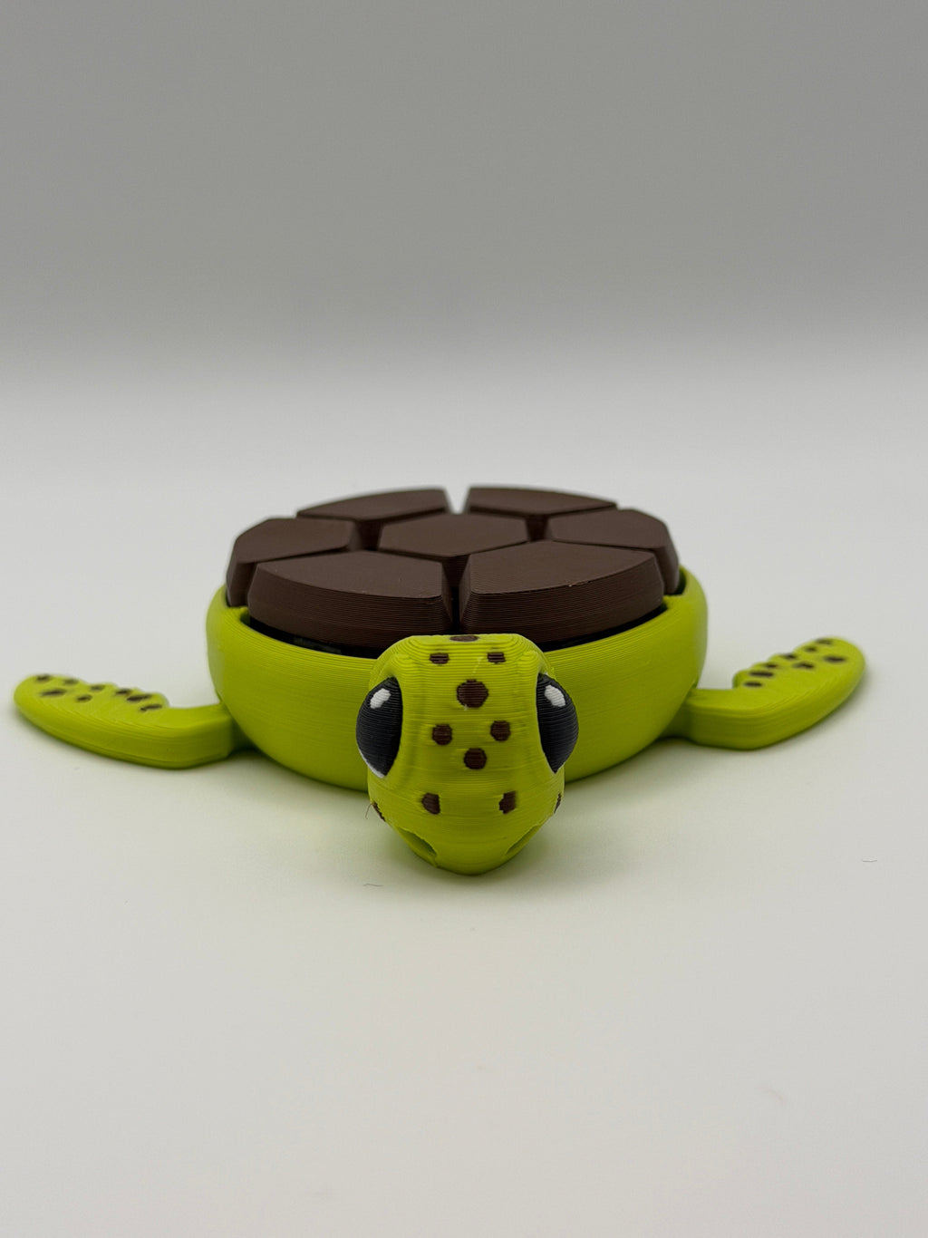 A green and brown shelled fidget clicker turtle.