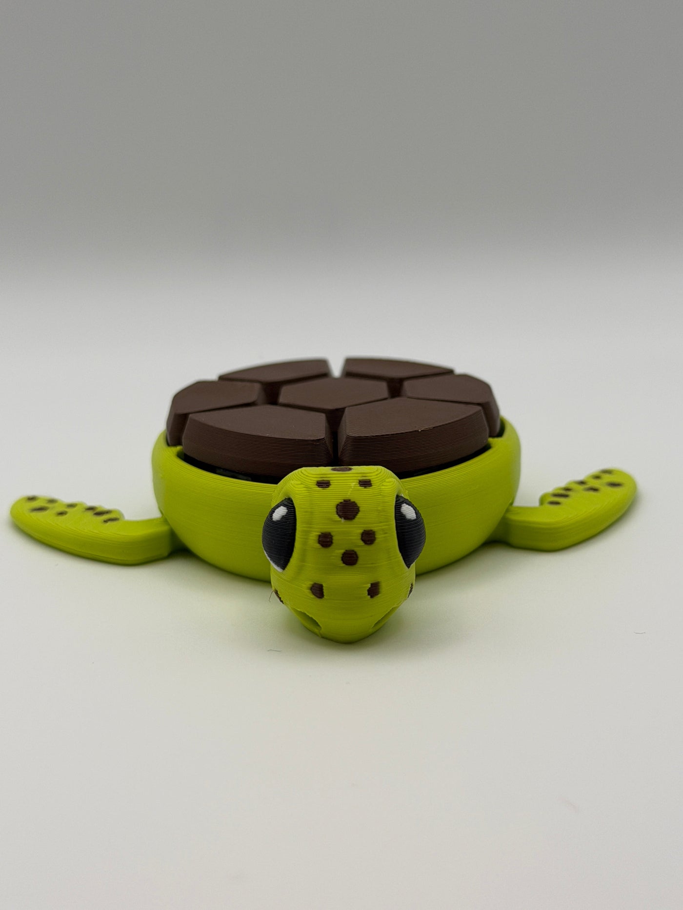 A green and brown shelled fidget clicker turtle.