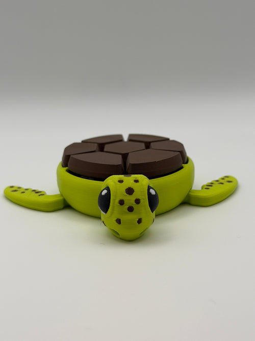 A green and brown shelled fidget clicker turtle.