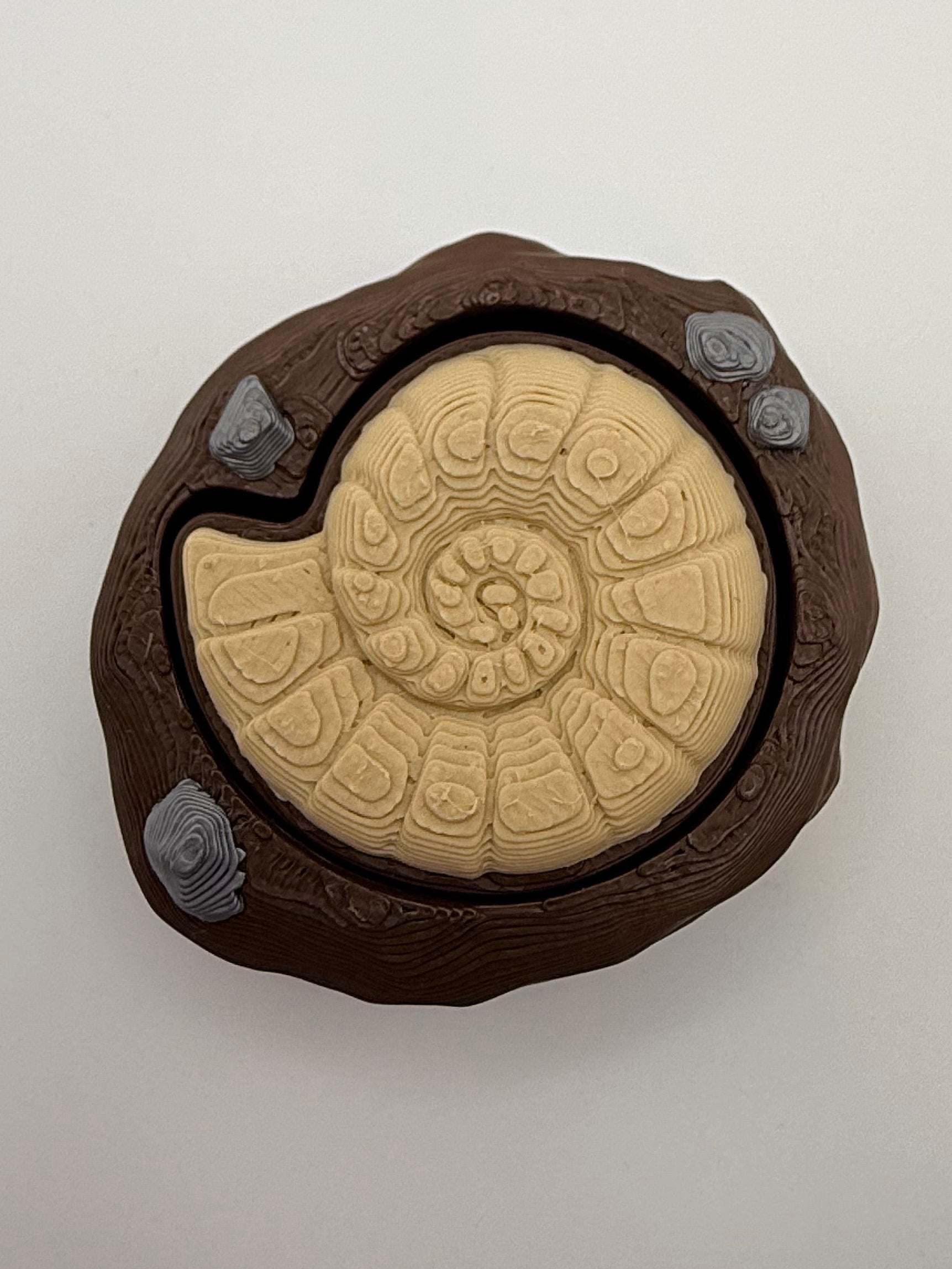 Ammonite Fossil Fidget Clicker Keychain