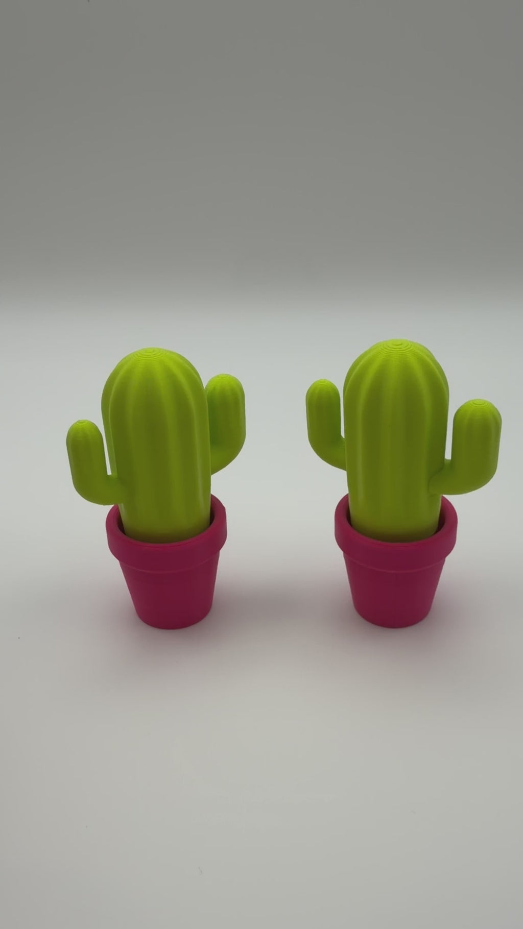 Cactus Fidget Clicker Toy