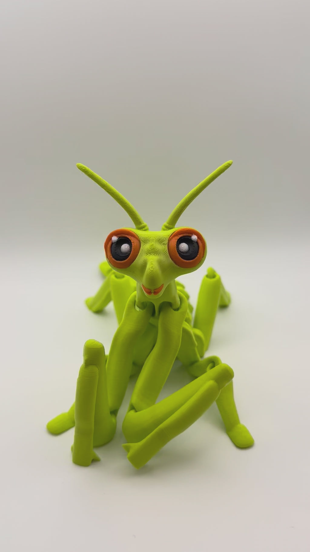 Articulated Praying Mantis Fidget Toy