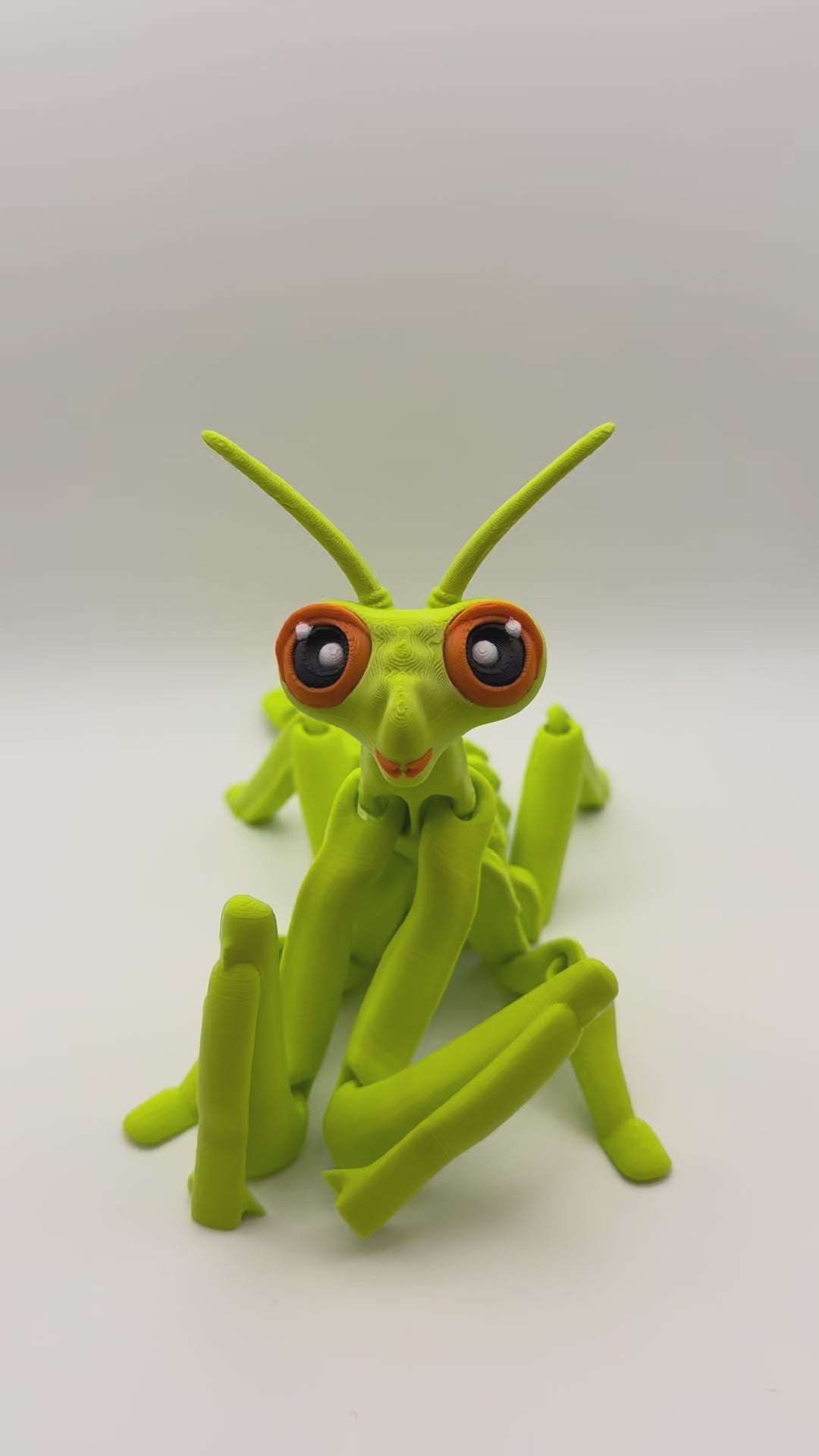 Articulated Praying Mantis Fidget Toy