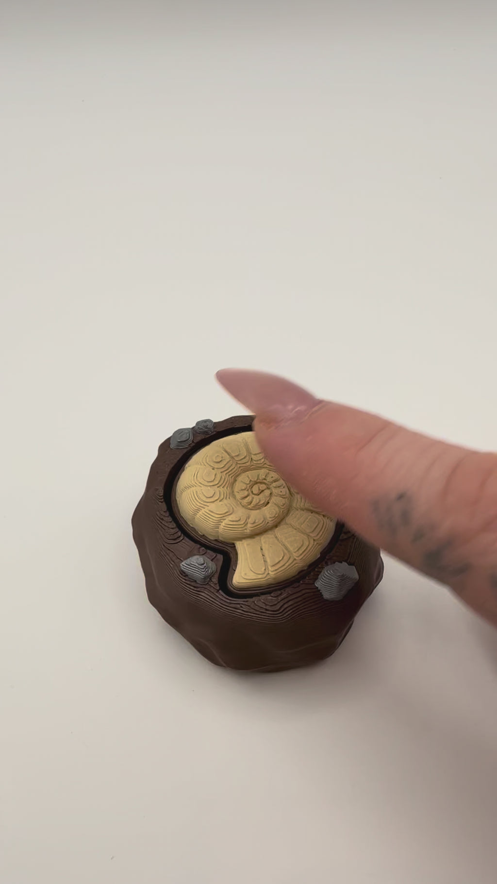 Ammonite Fossil Fidget Clicker Keychain