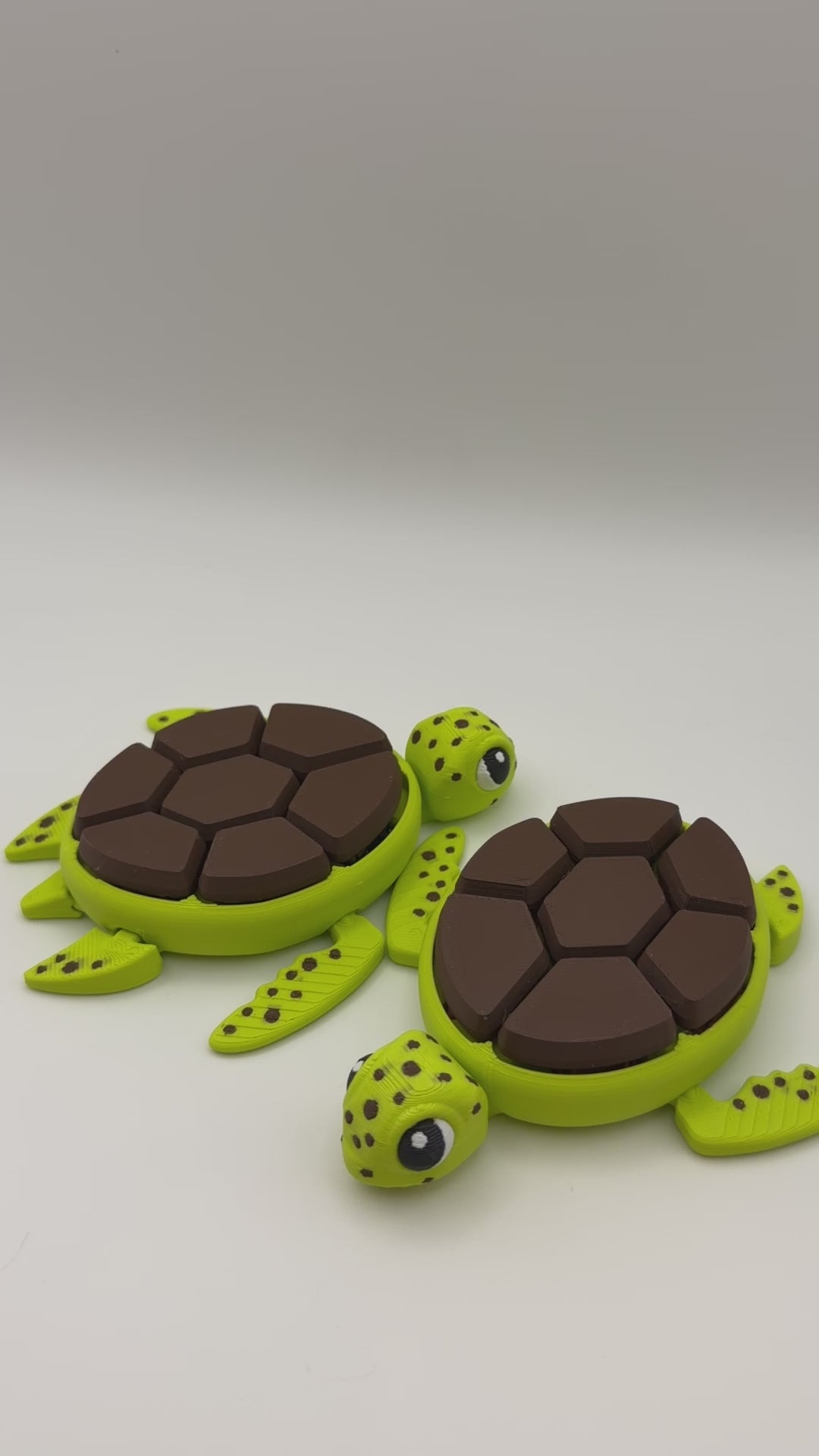 Green Turtle Keychain 7 Clicker Fidget Toy