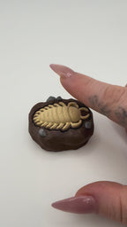 Trilobite Fossil Fidget Clicker Keychain