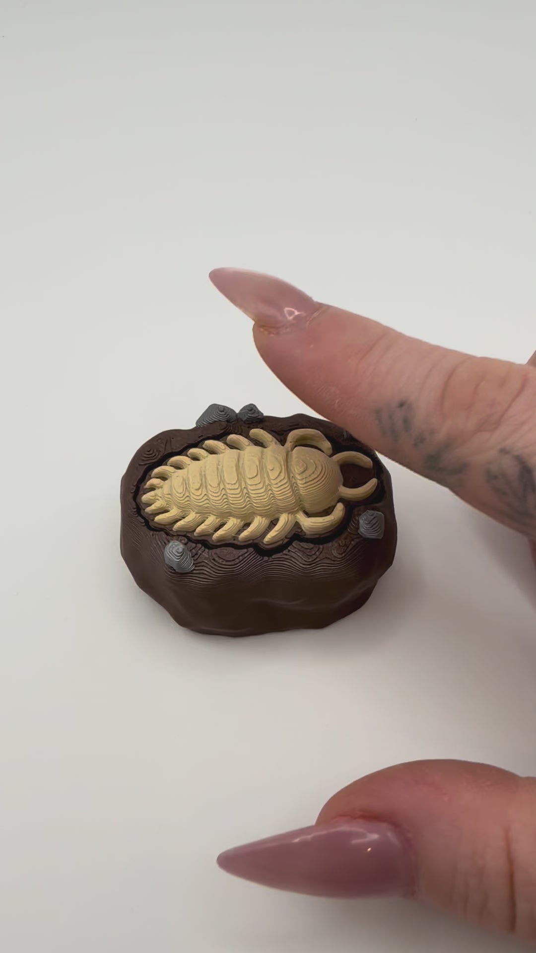 Trilobite Fossil Fidget Clicker Keychain