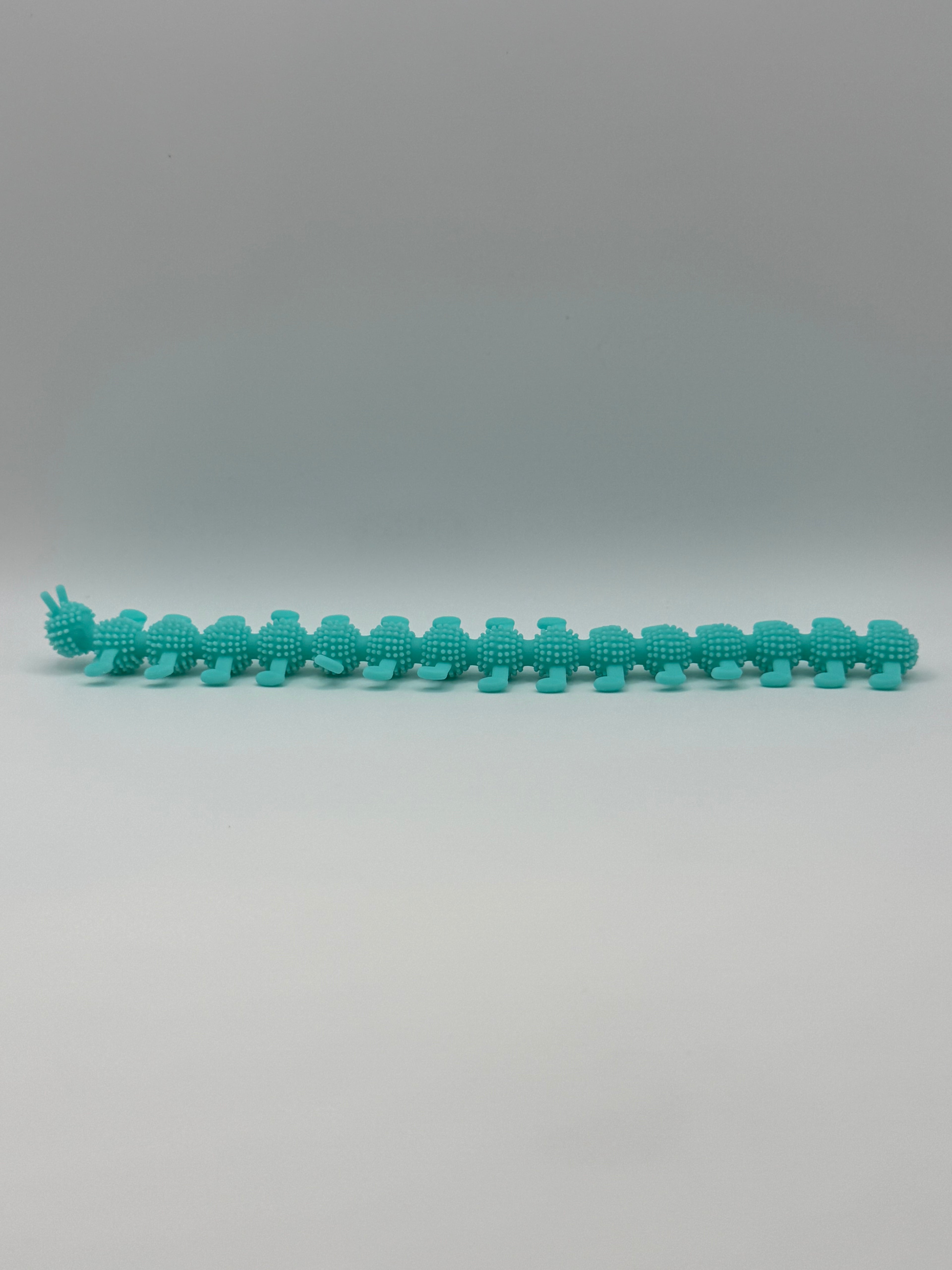Stretchy Caterpillar Fidget Toy