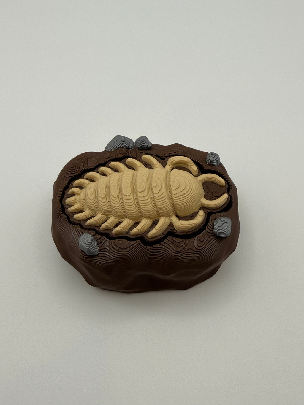 Trilobite Fossil Fidget Clicker Keychain