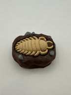 Trilobite Fossil Fidget Clicker Keychain