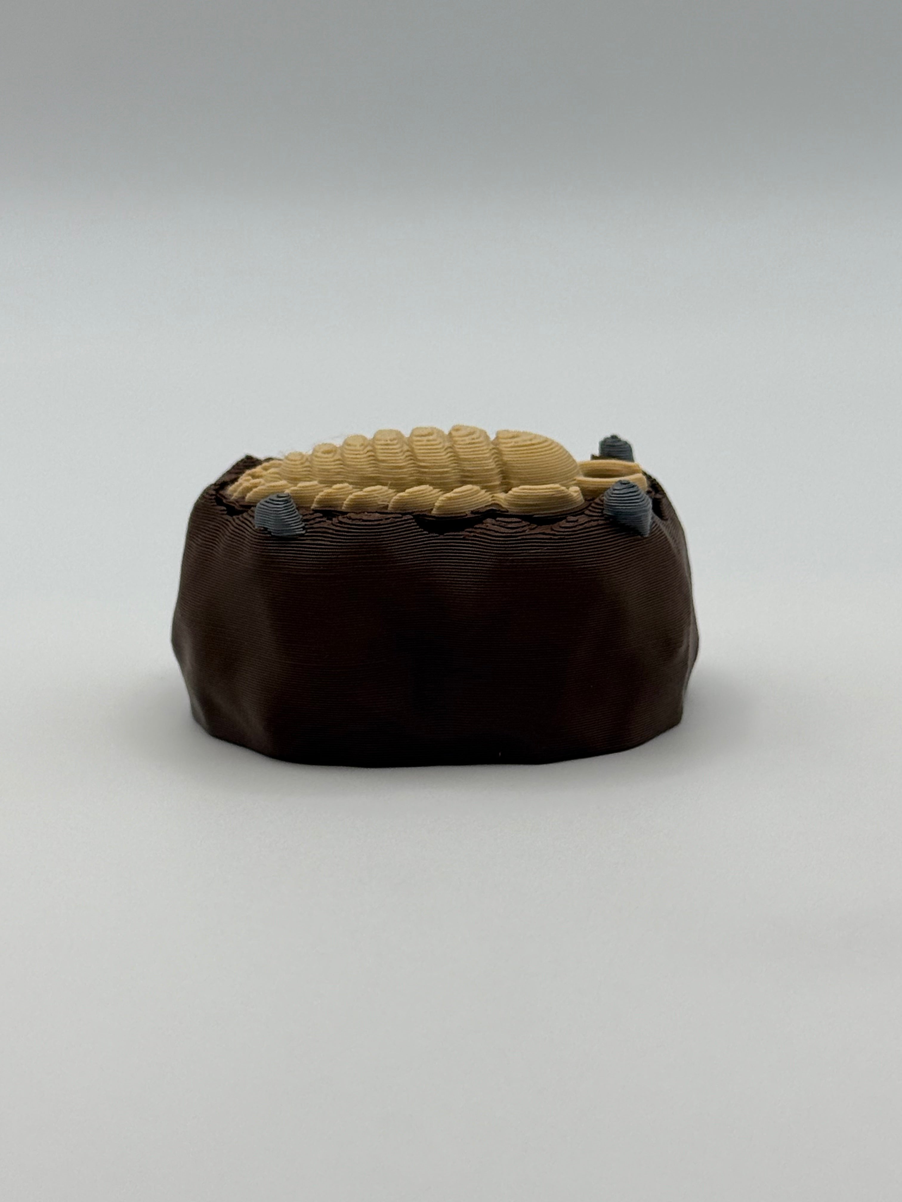 Trilobite Fossil Fidget Clicker Keychain