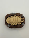 Trilobite Fossil Fidget Clicker Keychain