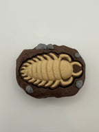 Trilobite Fossil Fidget Clicker Keychain