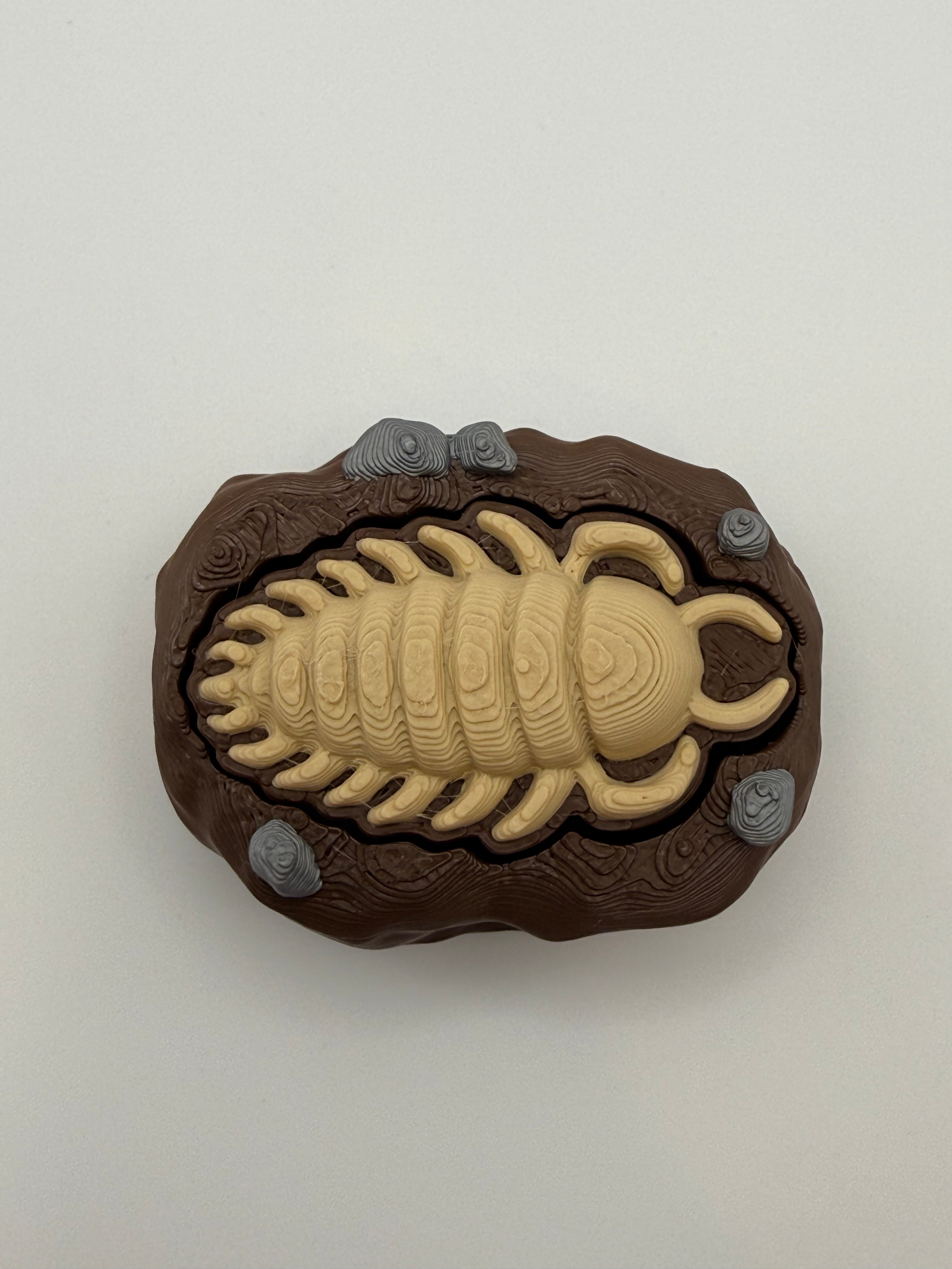Trilobite Fossil Fidget Clicker Keychain