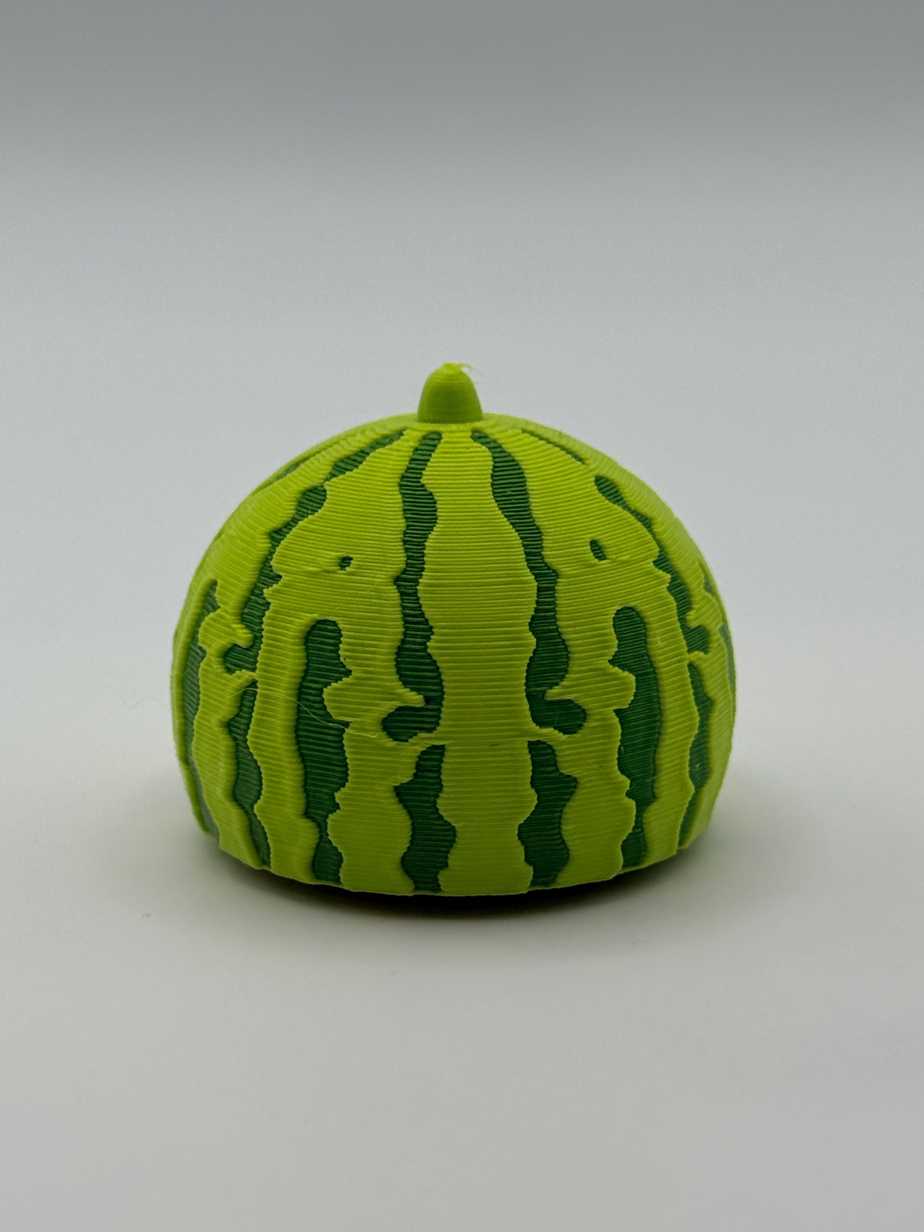 Watermelon Sensory Clicker Keychain